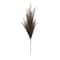 42" Light Brown Pampas Grass Stem by Ashland®
